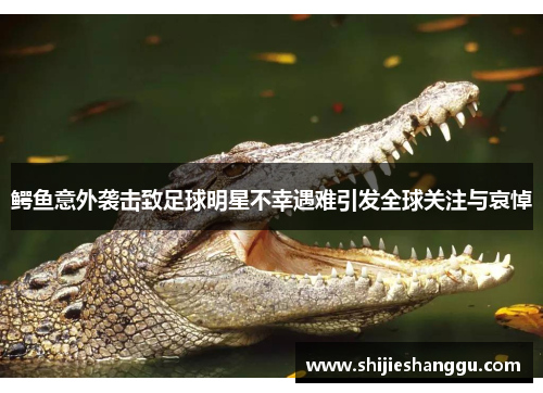 鳄鱼意外袭击致足球明星不幸遇难引发全球关注与哀悼