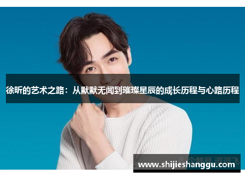 徐昕的艺术之路：从默默无闻到璀璨星辰的成长历程与心路历程